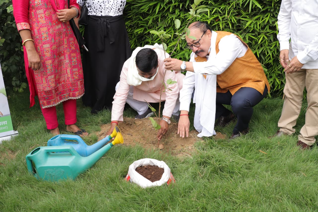 World Environment Day